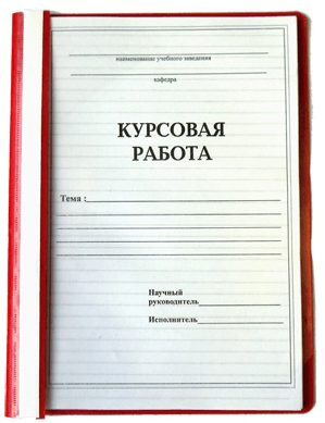 Курсовая работа по маркетингу